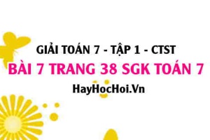 Giải bài 7 trang 38 Toán 7 Tập 1 SGK Chân trời sáng tạo